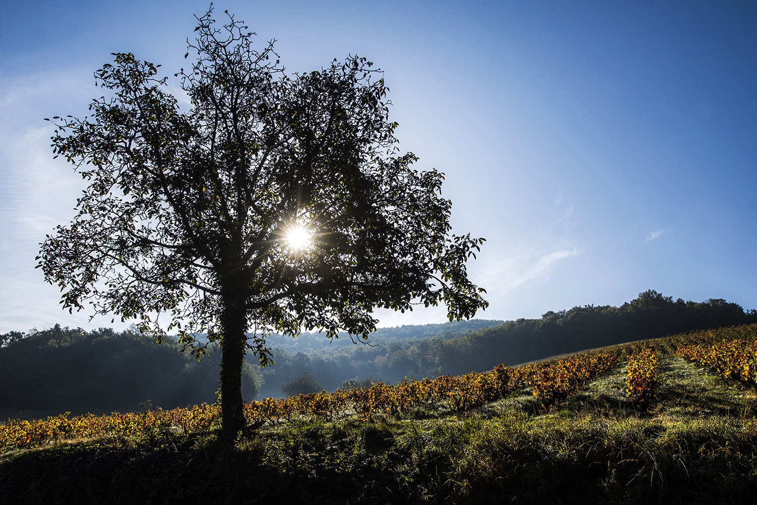 photographe paysage lyon